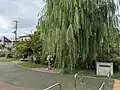 Kitaro Square, managed by Chofu City （202510）