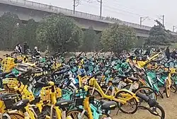 Dozens of bicycles parked haphazardly on grass.