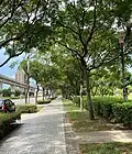 Pedestrian walkways