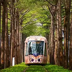 The front of a light rail train with a cartoon cat face taking up the space beneath the driver's window