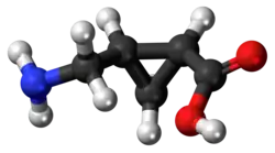 (+)-CAMP molecule
