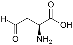 2D representation of the chemical structure of L-Aspartic-4-semialdehyde.