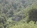 Bainam Forest