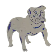 New York Yanks / Bulldogs logo