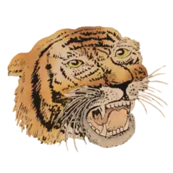 Chicago Tigers logo