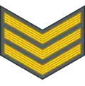 Sergeant (Namibian Army)[92]