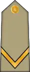 Sergent (Arabic: رقيب, romanized:&nbsp;Raqib) (Algerian Land Forces)[48]