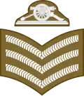 Sergeant (Army of Malta)[89]
