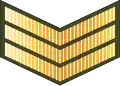 Sarjan (Royal Brunei Land Force)[59]
