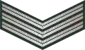 Sergeant (Sri Lanka Army)[106]