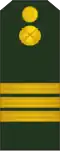 Sergent (Moldovan Ground Forces)[90]