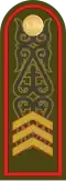 Cержант Serjant (Kazakh Ground Forces)[77]