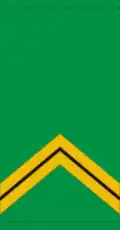 Sergent (Malian Army)[88]