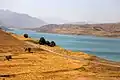Taleqan Dam, Iran