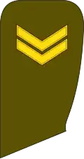 Seržantas (Lithuanian Land Force)[83]