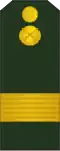 Sergent-major (Moldovan Ground Forces)[41]