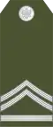 Vodnik 1 klase (Montenegrin Ground Army)[12]