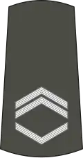 Старији водник Stariji vodnik (Serbian Army)[30]