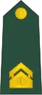 Višji vodnik (Slovenian Ground Force)[31]