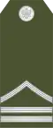 Stariji vodnik (Montenegrin Ground Army)[27]