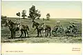 Postcard of the 1 Königlich Sächsische Maschinengewehr-Abteilung Nr. 12 (Royal Saxon Machine Gun Detachment No. 12) with an MG 01 mounted on horse-drawn cart in Dresden, 1905.