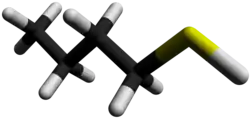 3D-stick model