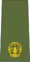 Major (Rwandan Land Forces)[75]