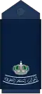 RAID