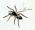 female