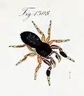 Drawing of male (1868)