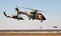 Royal Jordanian Air Force Super Puma