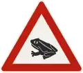 1.16c – Animals, frogs