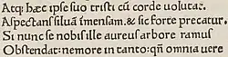 Four lines of an early modern Latin manuscript, printed. In modern orthography, they read "atque haec ipse suo tristi cum corde volutat / aspectans silvam immensam, et sic forte precatur: / 'si nunc se nobis ille aureus arbore ramus / ostendat nemore in tanto! quando omnia vere".