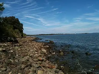 Shoreline