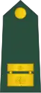 Major (Slovenian Ground Force)[80]
