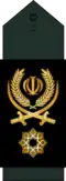 Brigadier General