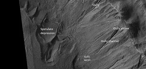 Close view of crater labeled with "spatulate depression" and other features, as seen by HiRISE Note: this is an enlargement of the previous image.[81]
