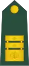 Generalmajor (Slovenian Ground Force)[65]
