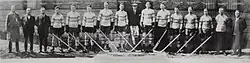 Ice hockey players standing in a row