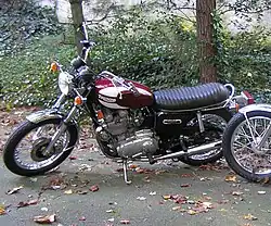 Red-and-white motorcycle, parked on fallen leaves