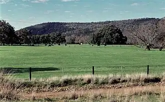 View over Wongong Farm, from the railway, prior to subdivision. (1994)