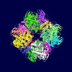 Carboxy-lyase computer image