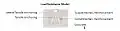 Fig 1: Load resistance elements of an anchor system in a wall panel