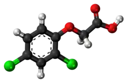 Ball-and-stick model of 2,4-dichlorophenoxyacetic acid