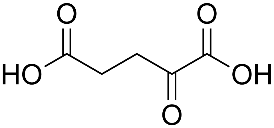 2D representation of the chemical structure of α-Ketoglutaric acid .