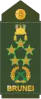Fil marsyal (Royal Brunei Land Force)[15]