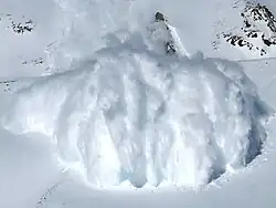 A powder snow avalanche is a form of turbidity current where air is the supporting fluid.