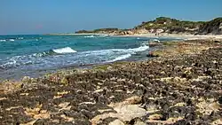 The State Natural Preserve of Torre Guaceto