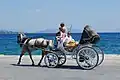 Carriage