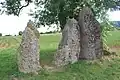 Oppagne Menhirs